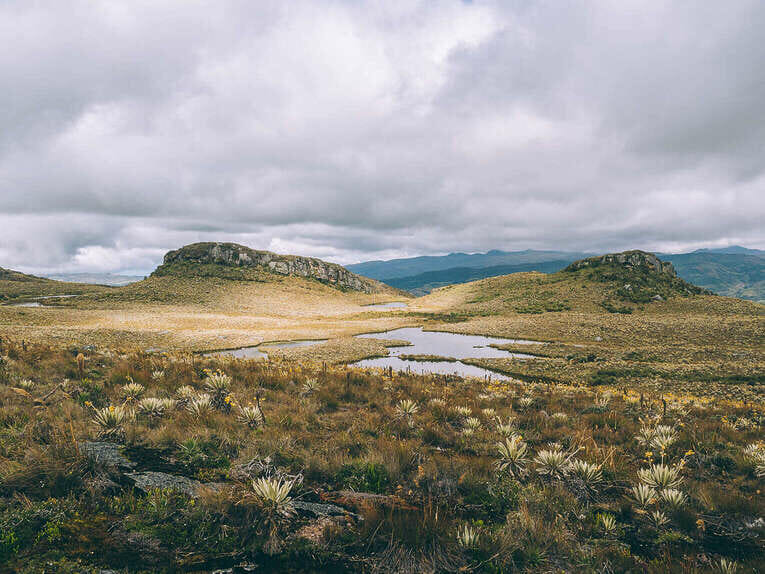 Trek to Paramo de Sumapaz, a beautiful hike around Bogota