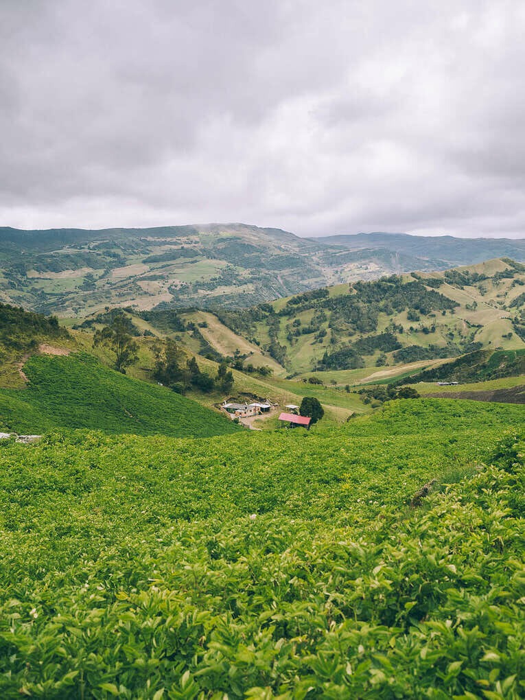 Trek to Paramo de Sumapaz, a beautiful hike around Bogota