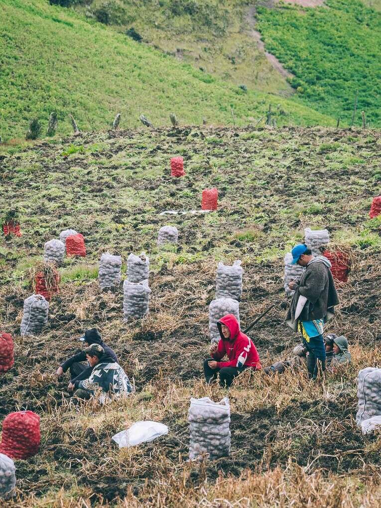 Trek to Paramo de Sumapaz, a beautiful hike around Bogota