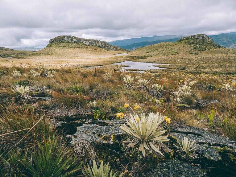 Trek to Paramo de Sumapaz, a beautiful hike around Bogota