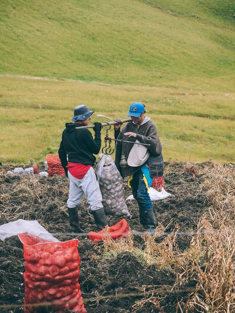 Trek to Paramo de Sumapaz, a beautiful hike around Bogota