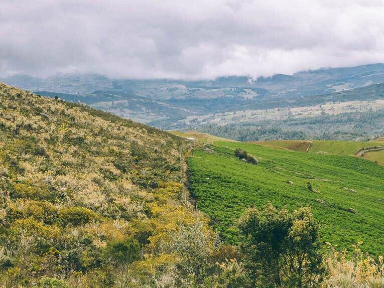 Trek to Paramo de Sumapaz, a beautiful hike around Bogota