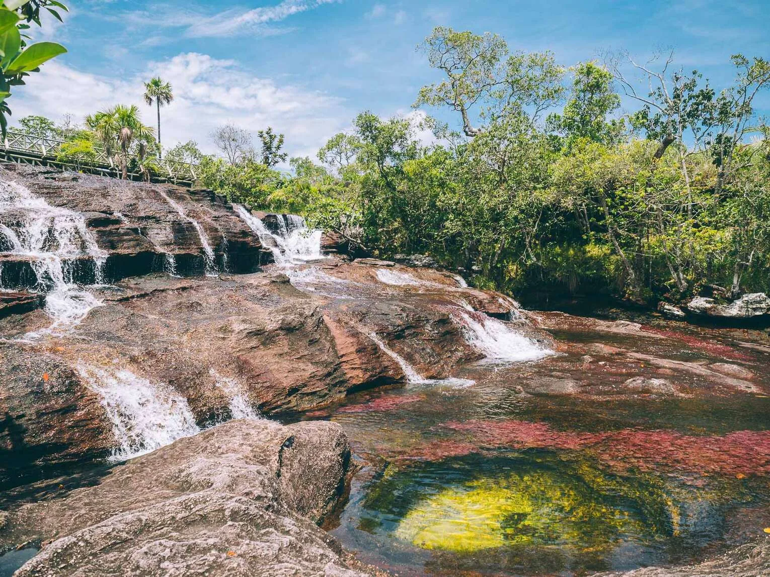 Caño Cristales travel guide: visit the most beautiful river in the