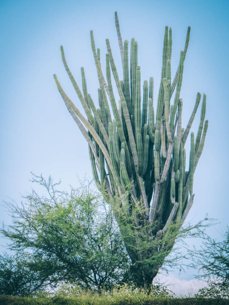 Visit Tatacoa Desert travel guide: one of the natural wonder of Colombia