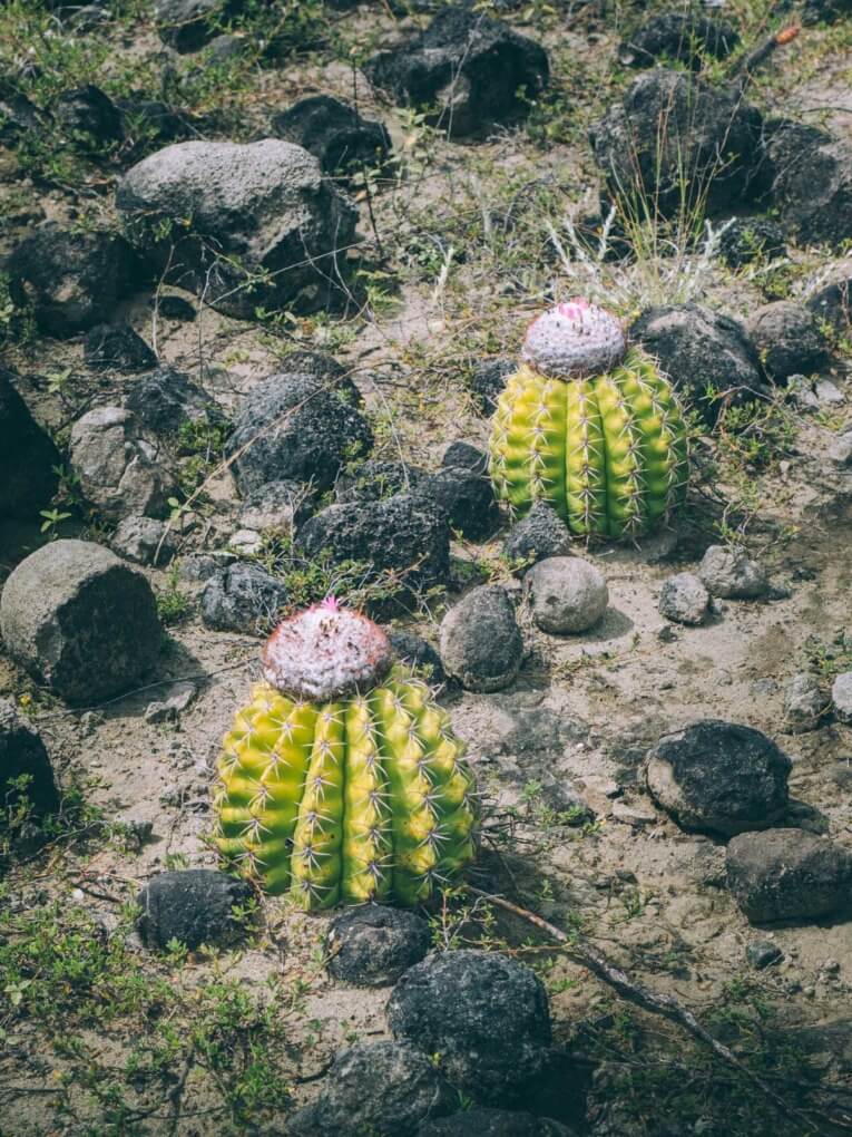 Visit Tatacoa Desert travel guide: one of the natural wonder of Colombia