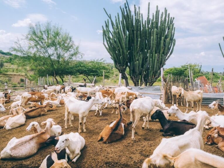 Visit Tatacoa Desert travel guide: one of the natural wonder of Colombia