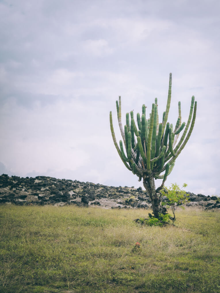 Visit Tatacoa Desert travel guide: one of the natural wonder of Colombia