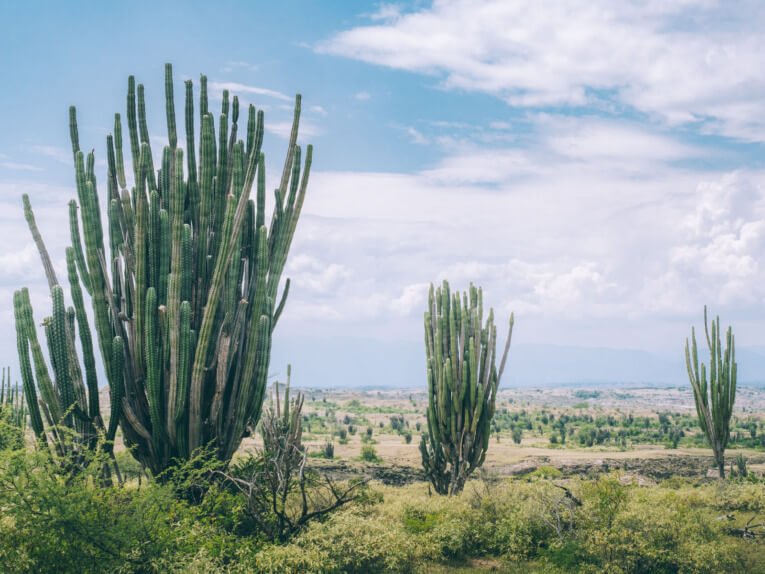 Visit Tatacoa Desert travel guide: one of the natural wonder of Colombia