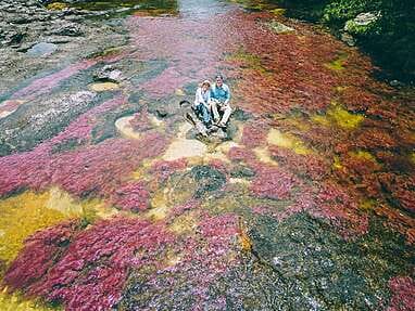 Discovering Cano Cristales, the rainbow river of Colombia