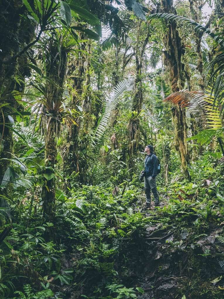 Rio Ñambi nature reserve near Pasto, one of the most beautiful in Colombia
