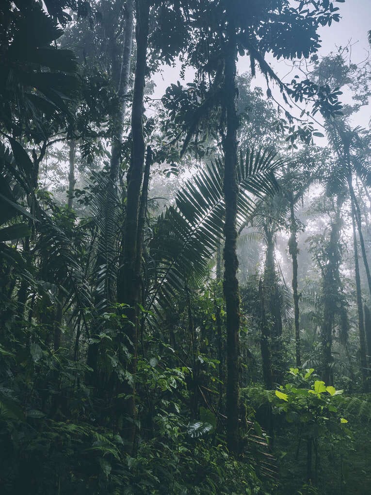 Rio Ñambi nature reserve near Pasto, one of the most beautiful in Colombia
