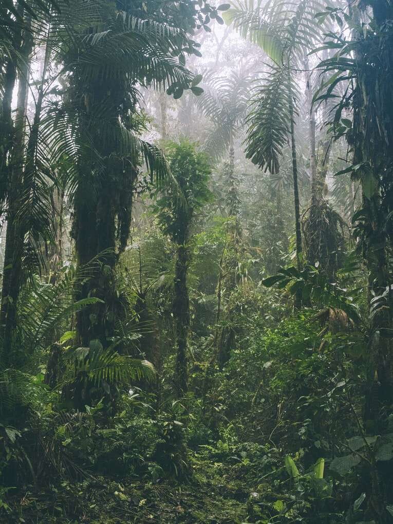 Rio Ñambi nature reserve near Pasto, one of the most beautiful in Colombia