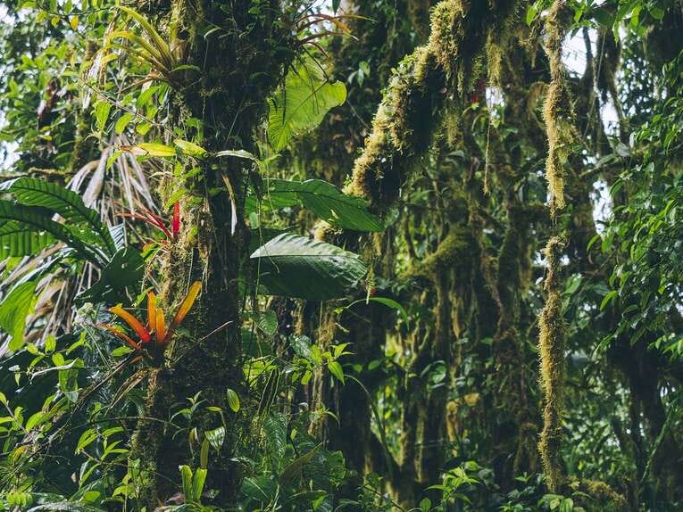 Rio Ñambi nature reserve near Pasto, one of the most beautiful in Colombia