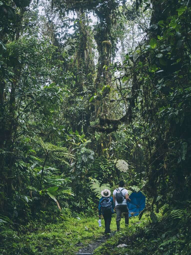 Rio Ñambi nature reserve near Pasto, one of the most beautiful in Colombia