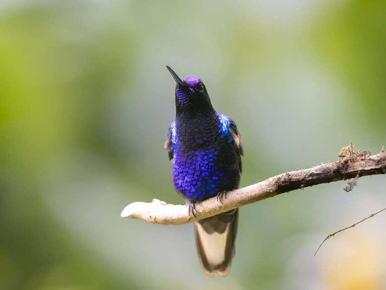 Rio Ñambi nature reserve near Pasto, one of the most beautiful in Colombia