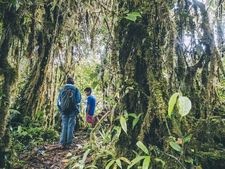 Rio Ñambi nature reserve near Pasto, one of the most beautiful in Colombia