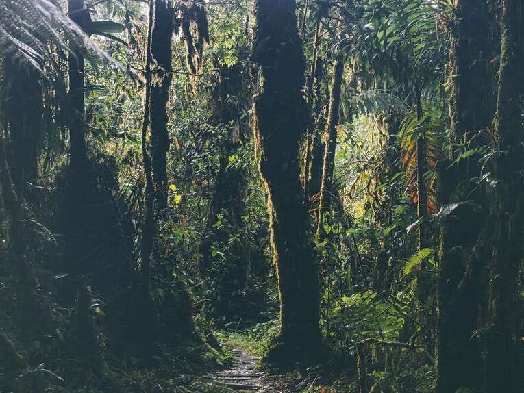 Rio Ñambi nature reserve near Pasto, one of the most beautiful in Colombia