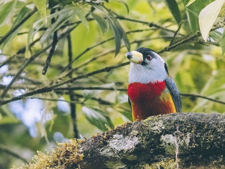 Rio Ñambi nature reserve near Pasto, one of the most beautiful in Colombia