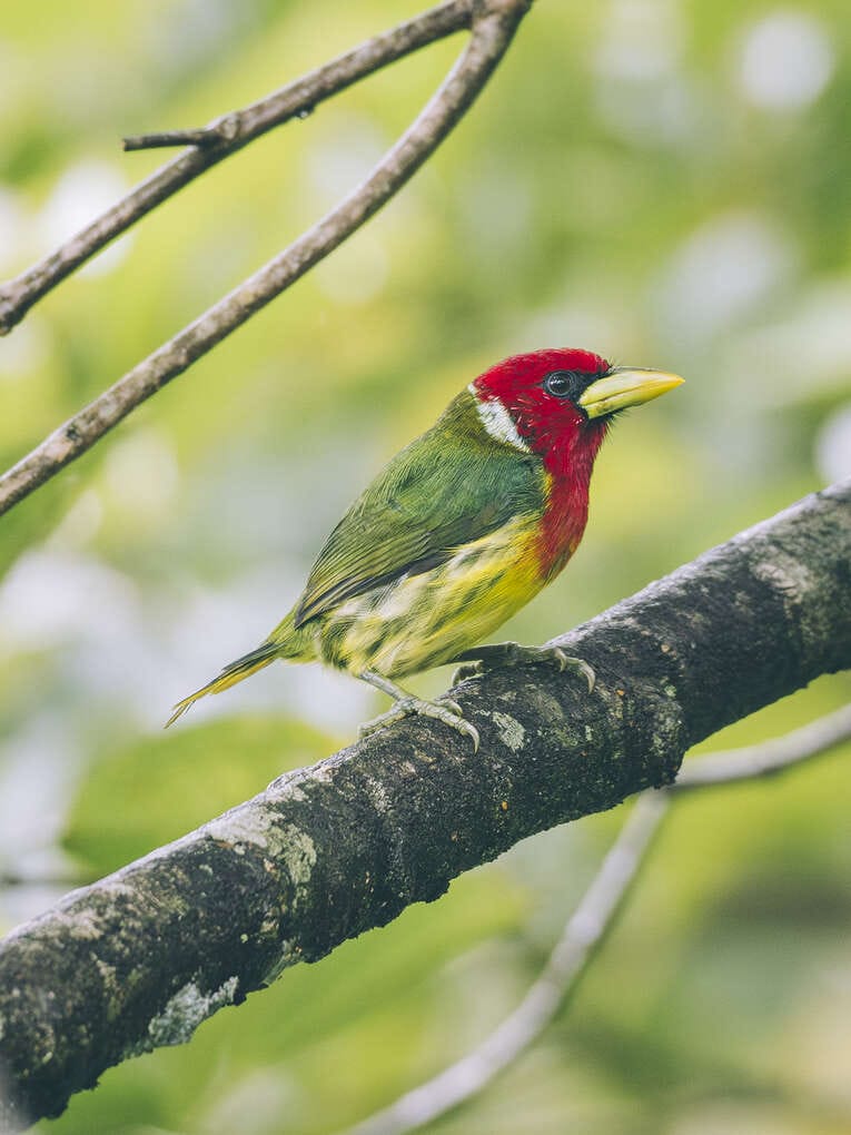 Rio Ñambi nature reserve near Pasto, one of the most beautiful in Colombia