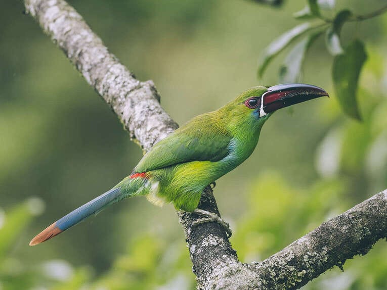 Rio Ñambi nature reserve near Pasto, one of the most beautiful in Colombia