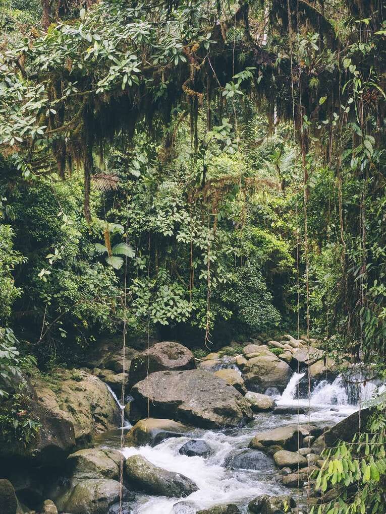 Rio Ñambi nature reserve near Pasto, one of the most beautiful in Colombia
