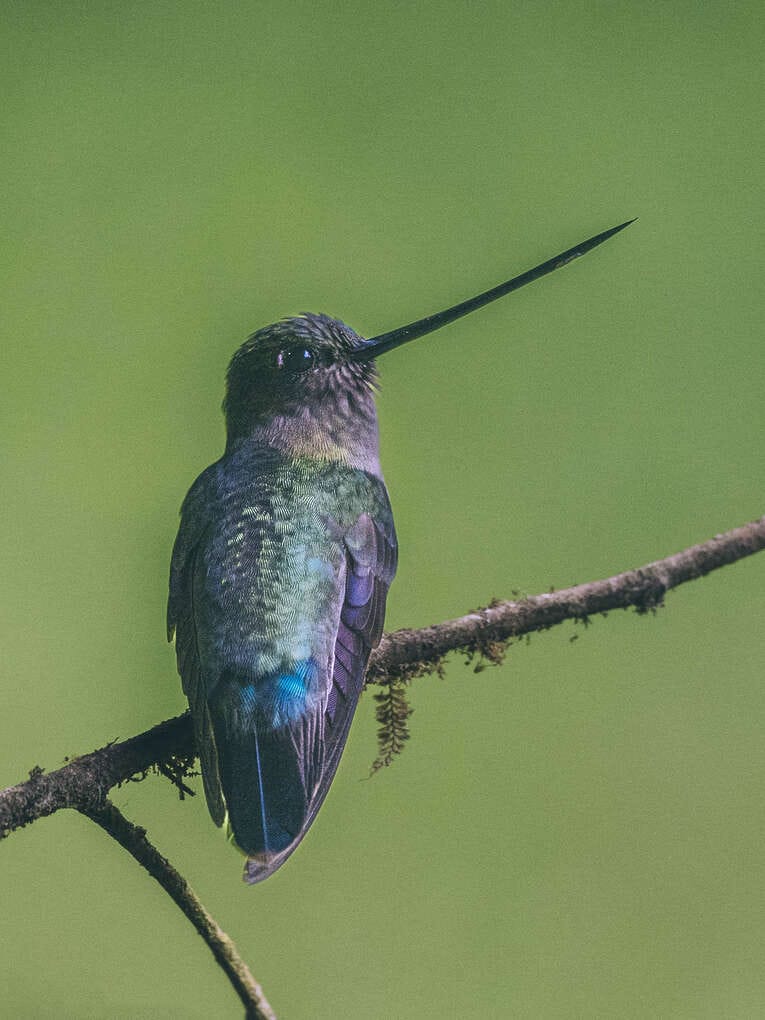 Rio Ñambi nature reserve near Pasto, one of the most beautiful in Colombia