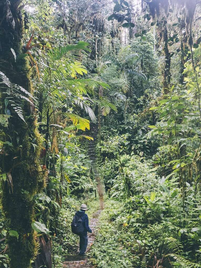 Rio Ñambi nature reserve near Pasto, one of the most beautiful in Colombia