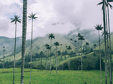 Idea for a 3-week itinerary in Colombia "The classic tour"