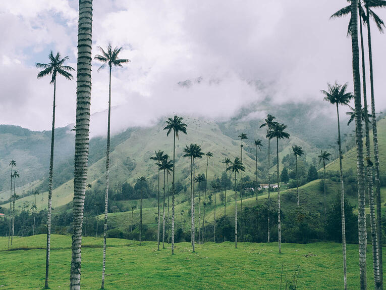 Idea for a 3-week itinerary in Colombia "The classic tour"