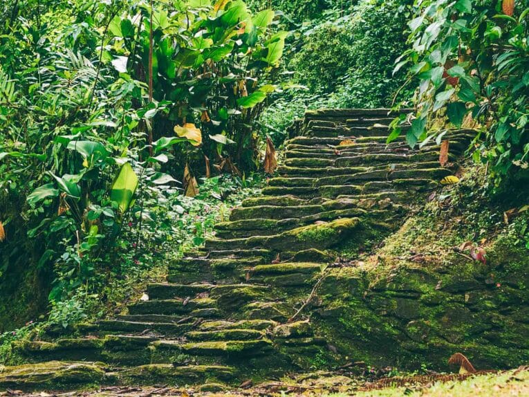 Lost City Trek: our travel guide to the Ciudad Perdida Lost City Trek: our travel guide to the Ciudad Perdida