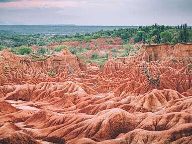 Best local guide for a tour in the Tatacoa desert