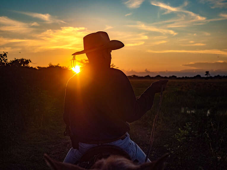Best local guide to live the Casanare wildlife Safari