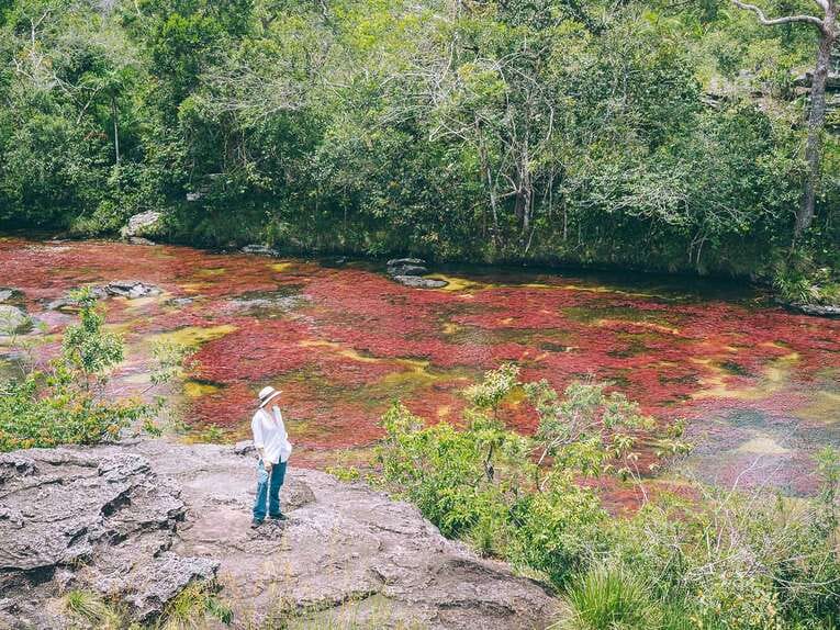 Best local guide to visit Caño Cristales