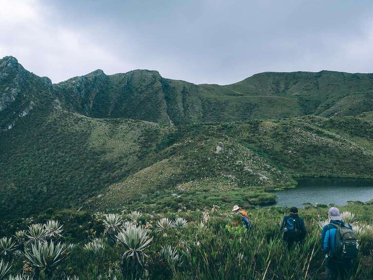 Local guide for a hiking tour in Chingaza national park