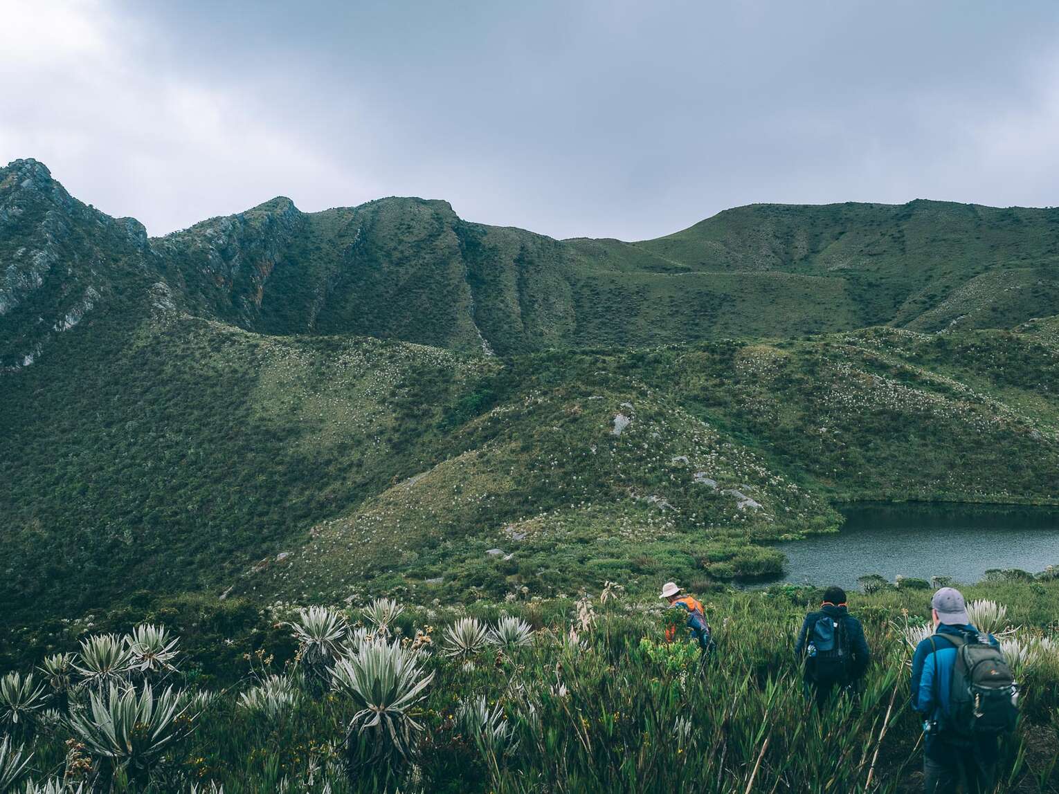 Local guide for a hiking tour in Chingaza national park