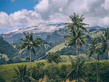 Best things to do in Murillo, between wax palms, thermal baths and hiking