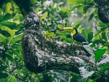 Bunkuany travel guide: the alternative trek to the Lost City