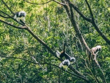 Bunkuany travel guide: the alternative trek to the Lost City