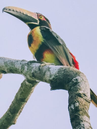 Bunkuany travel guide: the alternative trek to the Lost City