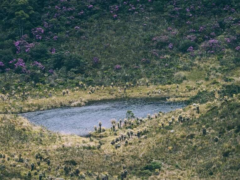 Laguna de Iguaque, hike in the natural park near Villa de Leyva