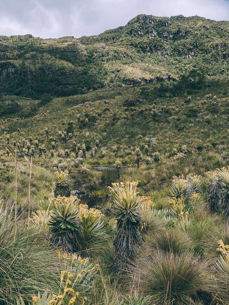 Laguna de Iguaque, hike in the natural park near Villa de Leyva