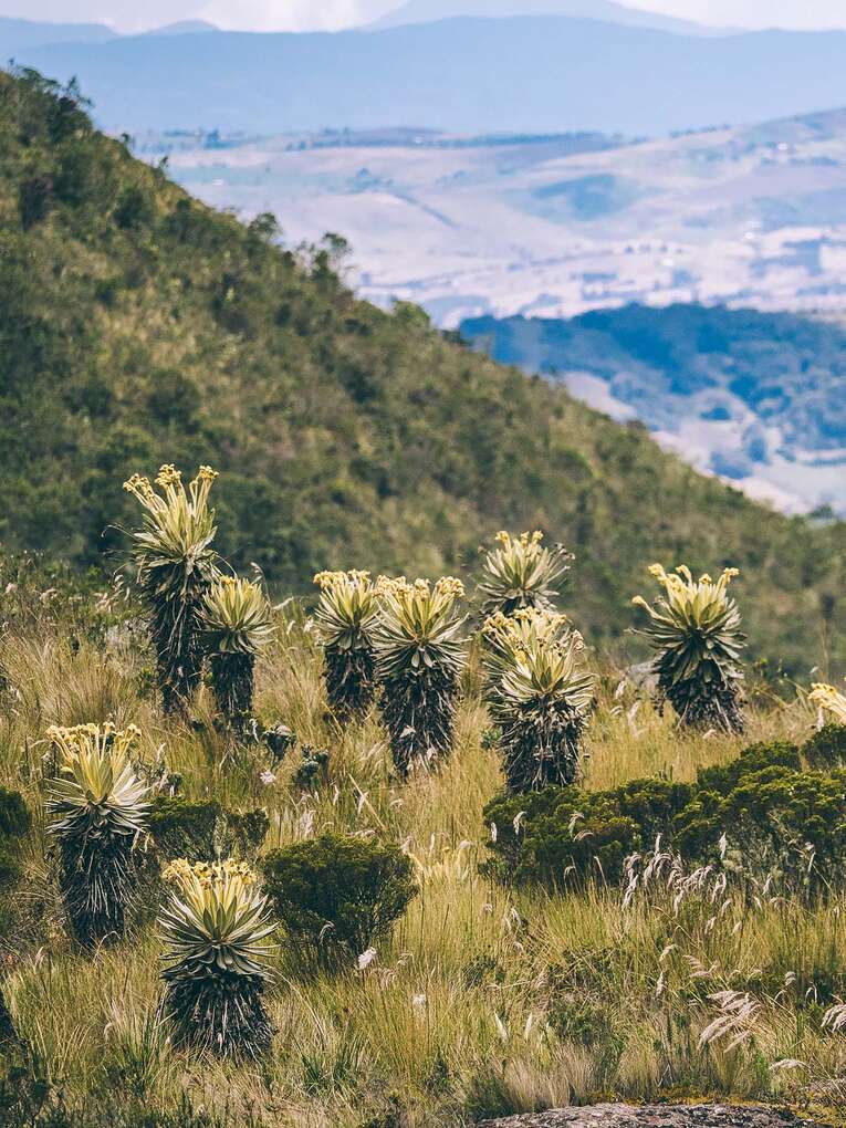 Laguna de Iguaque, hike in the natural park near Villa de Leyva