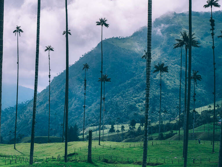 Best things to do in the Coffee triangle in Colombia