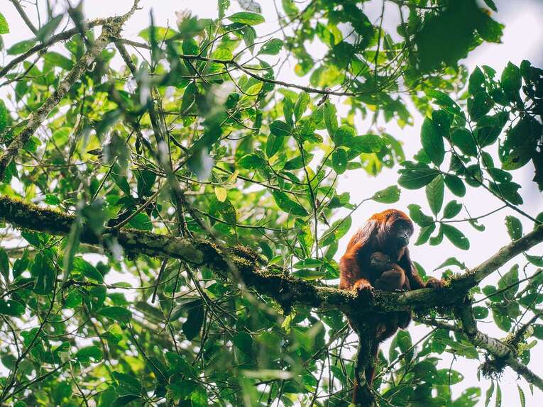Best things to do in the Coffee triangle in Colombia