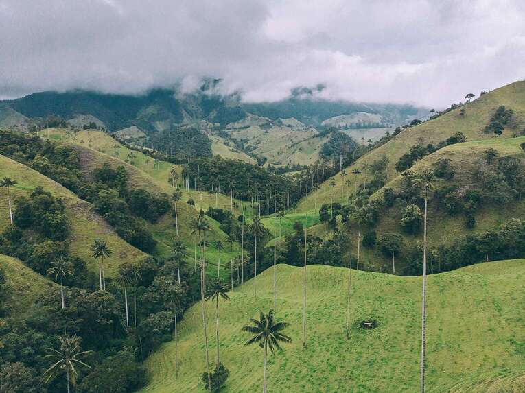 Best things to do in the Coffee triangle in Colombia