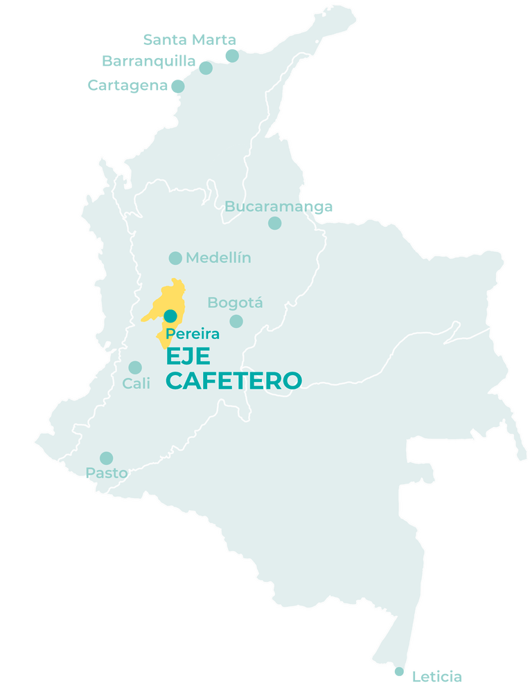 Best things to do in the Coffee triangle in Colombia